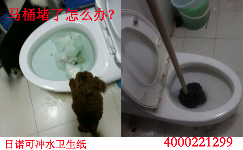 ˮͨ Zˮl